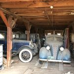 Profile Picture of Ian Miller (@ian.miller.author) on Instagram