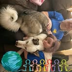 Profile Picture of Jeff Schmidt (@Jeff-Schmidt) on Facebook