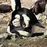 Profile Picture of erika .ll. michi (@rikamichie) on Instagram