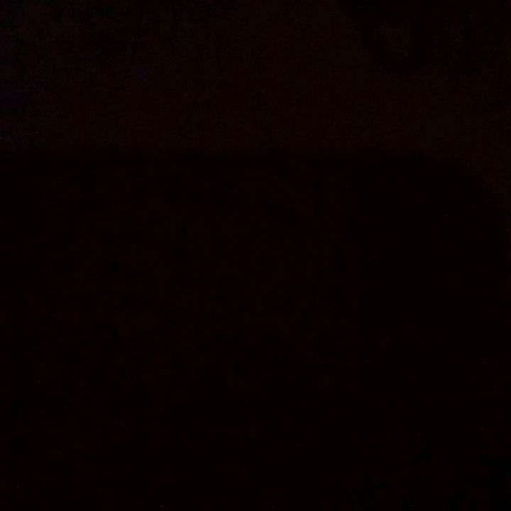 Profile Picture of felixislas (@f100xd) on Tiktok