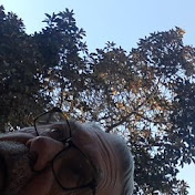 Profile Picture of Manuel Valentin Barbero (@manuelvalentinbarbero4283) on Youtube