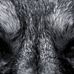 Profile Picture of Kevin Cromwell (@kevin.cromwell.1) on Facebook