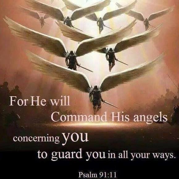 Profile Picture of Marcelo Gamboa (@capitangmar) on Poshmark