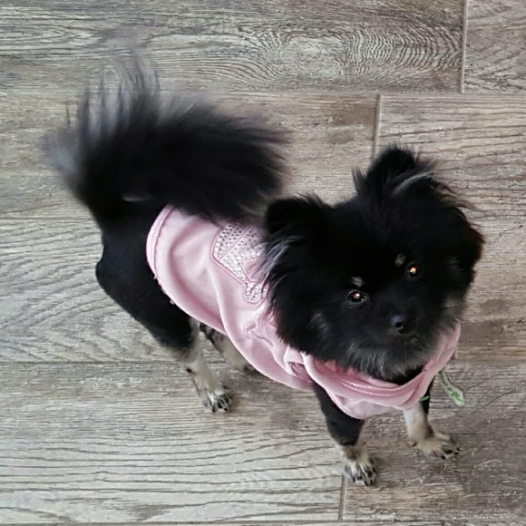 Gary Webster - Poshmark Profile Picture of Gary Webster (@editorg) on Poshmark