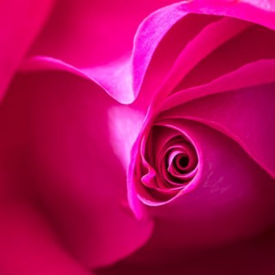 Profile Picture of Hannelore Schwarzenbacher (@Hannelo28117511) on Twitter