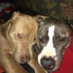 Profile Picture of Tim Milner (@tim.milner.77) on Instagram