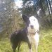Profile Picture of Jean Do (@jean.do.754) on Facebook