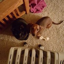 Profile Picture of Jami Fink (@jami_fink) on Twitter