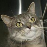 Profile Picture of Tim Stuber (@tim-stuber) on Quora