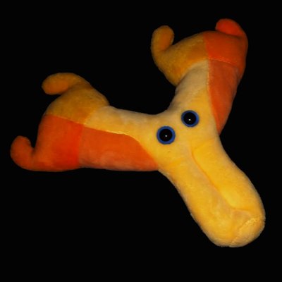 Profile Picture of Alex Telford (@Atelfo) on Twitter