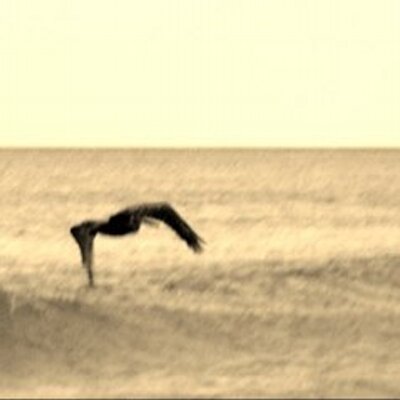 Profile Picture of Kelly Lessig-Ringer (@Kell3230) on Twitter