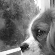 Profile Picture of Suthat Chuensiri (@suthatchuensiri223) on Youtube