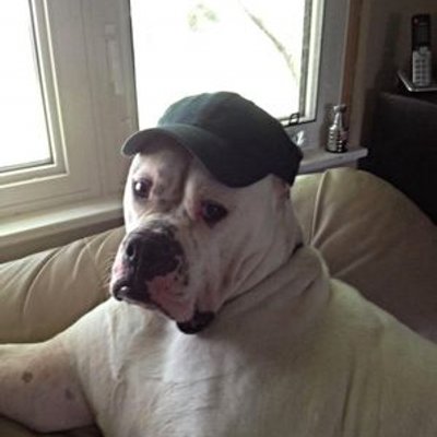 Profile Picture of Raymond Gunther (@SaucyCisoldier) on Twitter
