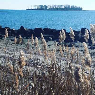 Profile Picture of Laurie Sharp (@lorjoy23) on Twitter