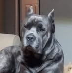 Profile Picture of Bobby Plummer (@bobby.plummer.353) on Facebook