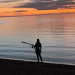 Profile Picture of D'Arcy wallace (@_aquatic_adventures_) on Instagram