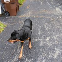 Profile Picture of Danny Jessie (@dannyj0958) on Pinterest