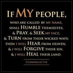 Profile Picture of Donna Campbell (@donnaferrazza64) on Instagram