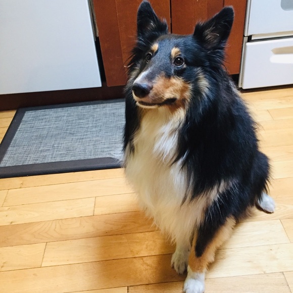 Profile Picture of Melissa Deseve (@melissadeseve) on Poshmark