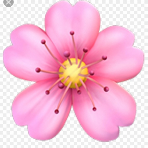 Profile Picture of Ann-marie Spindler (@ams1976) on Poshmark