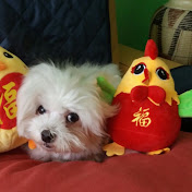 Profile Picture of Eric Li (@ericli4854) on Youtube