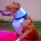 Profile Picture of Aisha Rivera (@aishamarie1253) on Youtube