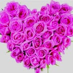 Profile Picture of Danila Bertarelli (@Danila-Bertarelli) on Facebook