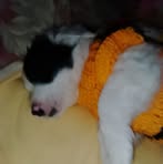 Profile Picture of Elena Tiznado (@elena.tiznado.18) on Facebook