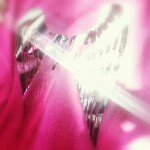 Profile Picture of Amber Kreitner (@amberisb) on Instagram