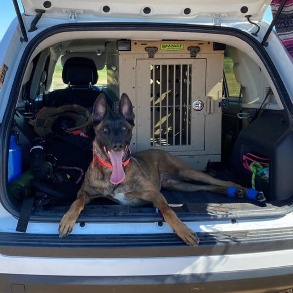 Profile Picture of Taylor Monarez (@bowtissimobows) on Poshmark