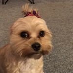 Profile Picture of Chip Kelley (@chip.private_55) on Instagram