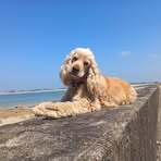 Profile Picture of Monique Haendel (@Monique-Haendel) on Facebook