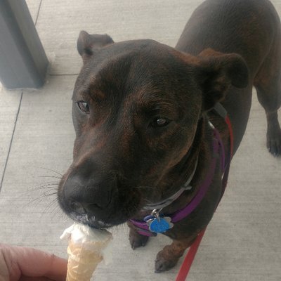 Profile Picture of Mark Carr (@MarkCarr0) on Twitter