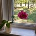 Profile Picture of Barbara Stepp (@barbara.stepp.330) on Facebook