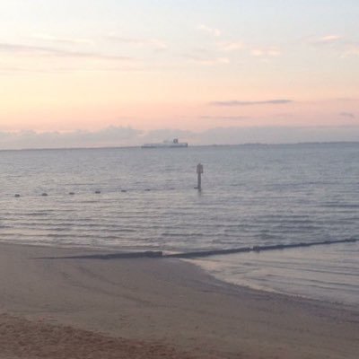 Profile Picture of Ryan Swann (@rswann97) on Twitter