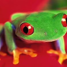 Profile Picture of Lye Jeremy (@lye.jeremy.5) on Facebook