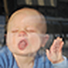 Profile Picture of Liam Hass (@Liam Hass) on Flickr