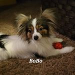 Profile Picture of Sherri Scherer (@sherrischerer) on Instagram