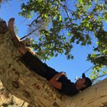 Brian Rebelo - Instagram Profile Picture of Brian Rebelo (@whatrueatinit) on Instagram