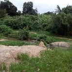 Profile Picture of Lucille Maseko (@lucille.maseko.35) on Facebook