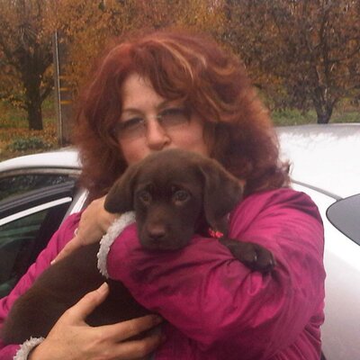 Profile Picture of Laurie Keller (@lmkeller33) on Twitter