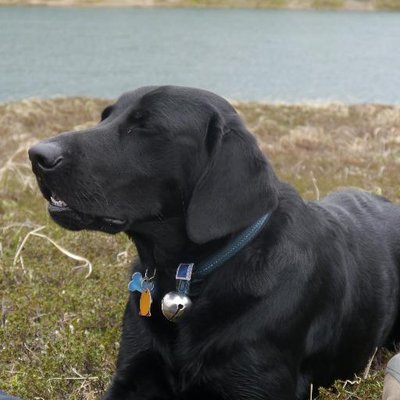 Profile Picture of Ben Krisher (@BenKrisher) on Twitter