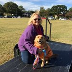 Profile Picture of Joanne Morrow Hoffmann (@joannehoffmann42) on Instagram