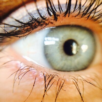 Profile Picture of Dee Wiley (@DeidraLWiley) on Twitter