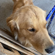 Profile Picture of Edward Fuentes (@edwardfuentes6767) on Youtube