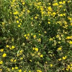 Profile Picture of Lauren Hess (@Lauren-Hess) on Facebook