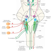 Josh Baird - Youtube Profile Picture of Josh Baird (@BestMovieClip) on Youtube