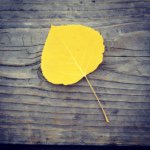 Profile Picture of Jon Liu (@mrjonliu) on Instagram