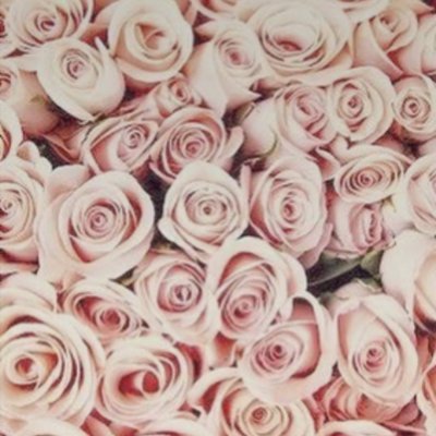 Profile Picture of Alexandra Reinhart (@Alexandra__R) on Twitter