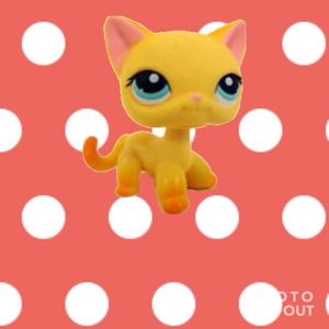 Profile Picture of Brooklyn Hayes (@brooke_hayes_popular) on Myspace